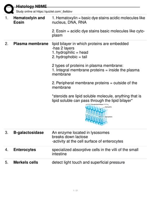 HISTOLOGY NBME EXAM 2024 ALREADY PASSED!! - Stuvia UK