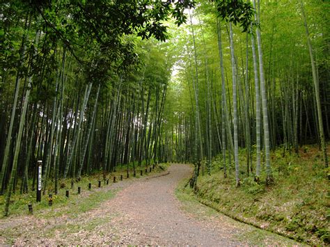 愛知県森林公園 愛知県観光協会の公式サイト【あいち観光ナビ】