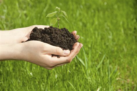 Check spelling or type a new query. The Best Fertilizer for Fall | eHow