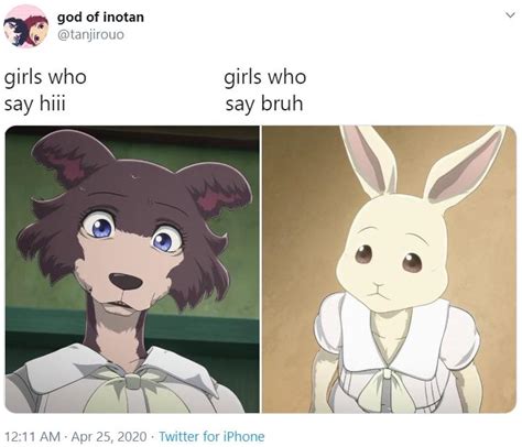 Beastars Girls Who Say Bruh Girls Who Say Bruh Know Your Meme