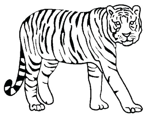 Printable baby tiger coloring pages for kids. Tiger Coloring Pages For Preschool at GetDrawings | Free ...