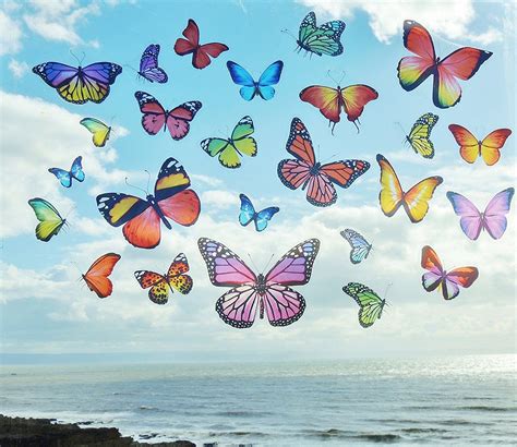 Peel And Stick Double Sided Realistic Colourful Butterflies Etsy