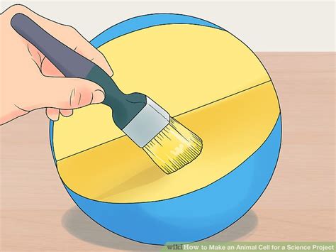 Royal jelly might make dermatitis worse. 4 Ways to Make an Animal Cell for a Science Project - wikiHow