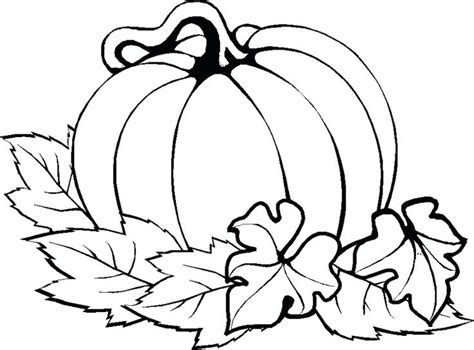If you have trouble printing see the how to print tab for suggestions or try one of the links to updated print files below. Free Pumpkin Drawing | Free download on ClipArtMag