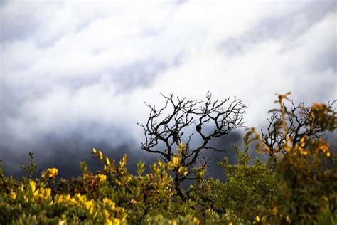 Things to do near mount tamalpais state park. MOUNT TAMALPAIS STATE PARK - 1249 Photos & 394 Reviews ...