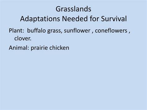 Ppt Grasslands Powerpoint Presentation Free Download Id3234083