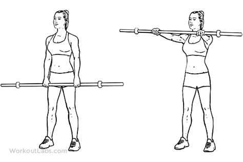 Barbell Front Raises Yoga Poses Guide By Workoutlabs