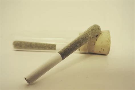What To Look For In The Best Pre Rolled Joints Rqs Blog