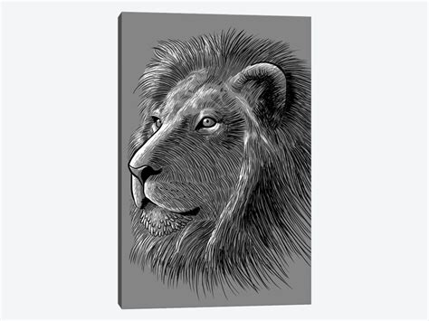 Sketch Lion Art Print By Alberto Perez Icanvas