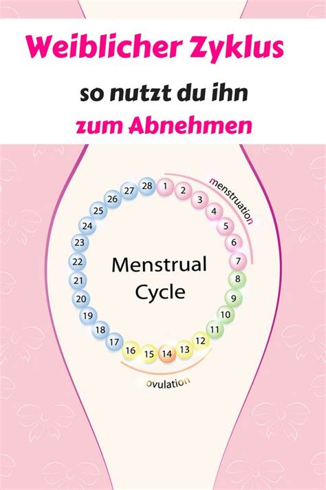Damit findest du heraus, wann die wahrscheinlichkeit schwanger zu werden für dich im kommenden monat. Menstruationsbeschwerden, Menstruationstasse abnehmen ...