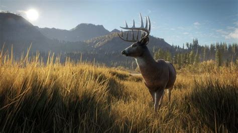 The Hunter Call Of The Wild Cotw Update 134 Ps4 Patch Notes