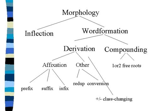 Introduction To Morphology Morphology Wordformation Inflection