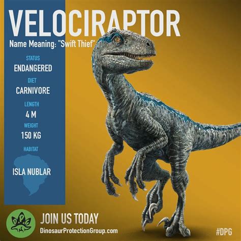 Velociraptor Blue Jurassic World Fallen Kingdom Mattel 2018