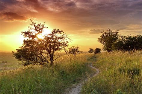 Sunset On The Meadow Photograph By Ren Kuljovska Fine Art America