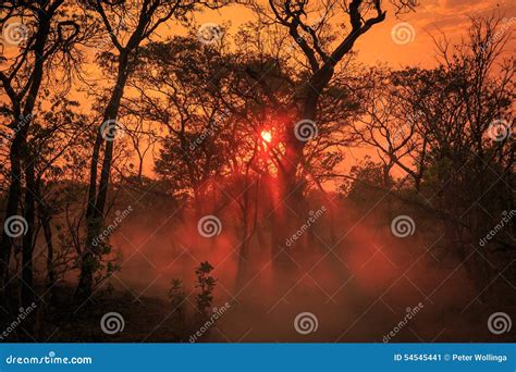 Orange Glow Of An African Sunset Stock Image Image Of Landscape