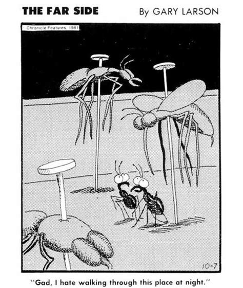Elroy Flakes The Far Side