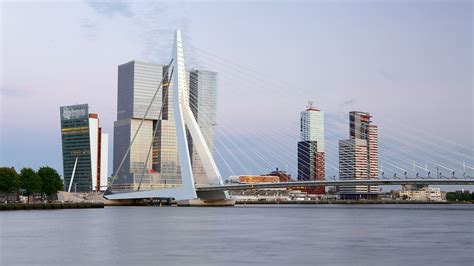 Erasmus Bridge In Rotterdam Expedia