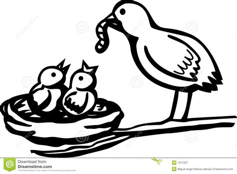 Feeding Birds Clipart 20 Free Cliparts Download Images On Clipground 2023