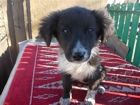 Am schluss ist alles gut, und das buch endet mit einer fast philosophischen betrachtung. Salsa, suesse Maus sucht Haus