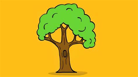 Comment dessiner un arbre détaillé. Apprendre à dessiner un arbre - YouTube