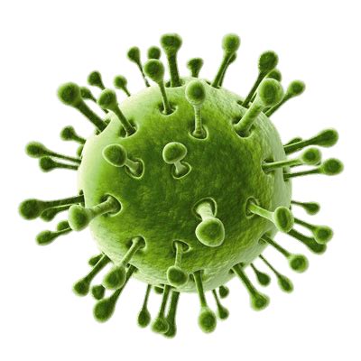 In may, the who emphasized the need for a plan that includes testing for the virus and its antibodies, effective contact. Coronavirus PNG
