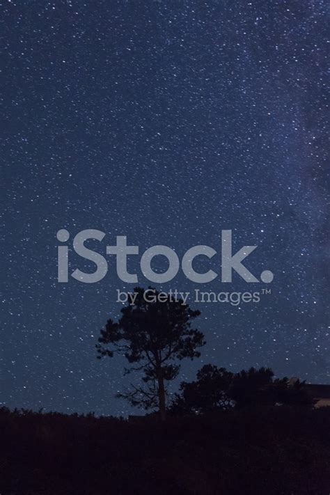 Starry Night On The Beach Stock Photo Royalty Free Freeimages