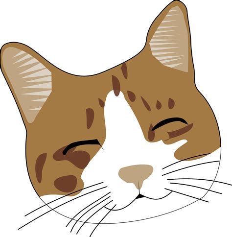 Cat Kitten Face Clip Art Cute Cat Png Download 23492400 Free