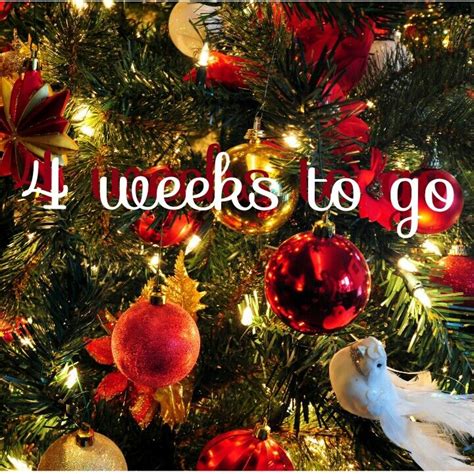4 Weeks Till Santa Comes Book Your Apointments Into Our Appointment