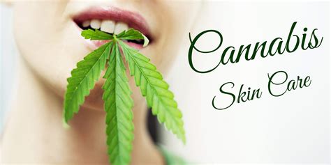 Cannabis Skin Care: The Next Big Trend in Beauty Industry