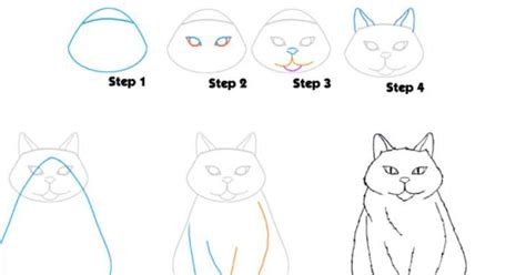 Invatam Sa Desenam O Pisica Blog Pisica
