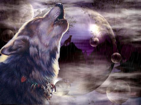 3d Wolf Wallpaper Wallpapersafari