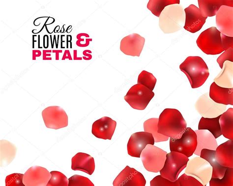 Petalos De Rosas Para Imprimir Fondo De Pétalos De Flor Rosa — Vector