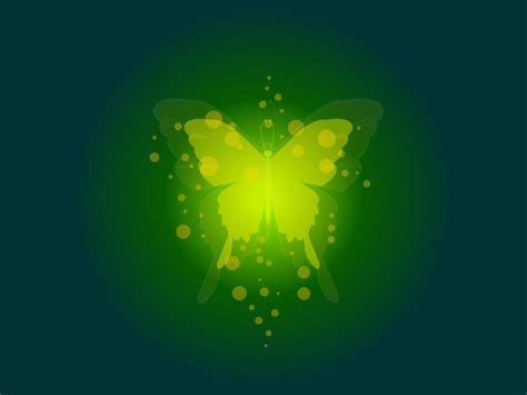 Glowing Butterfly By Designpadma On Dribbble