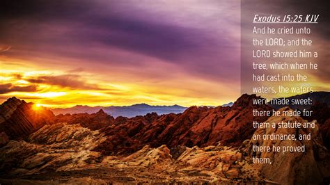 Exodus Kjv Desktop Wallpaper And He Cried Unto The Lord And