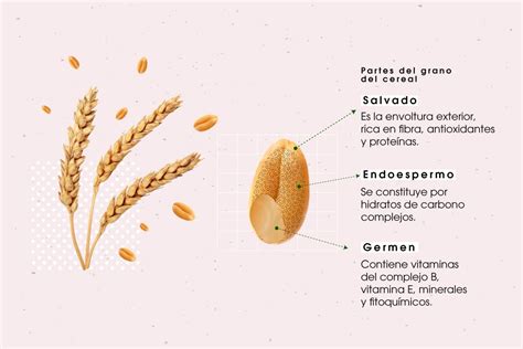 Descubre El Valor Nutricional De Los Cereales Integrales Y Aprende Todo