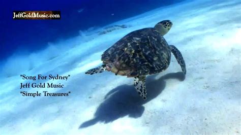 Peaceful Relaxing Music Underwater Scenes Sea Turtles