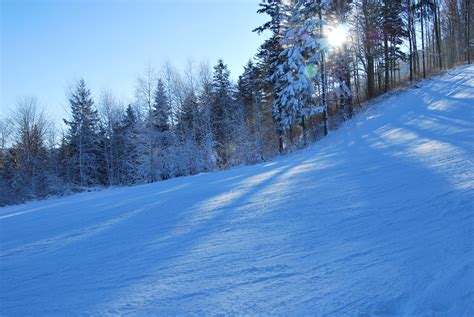 무료 이미지 나무 눈 화이트 서리 산맥 날씨 스키 타기 시즌 겨울 스포츠 산들 Piste 동결 비엘