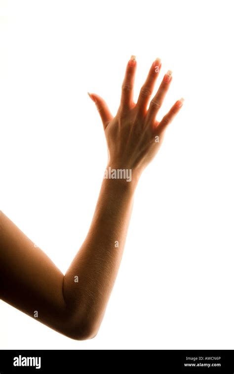 Female Arm Backlight Stock Photo Alamy
