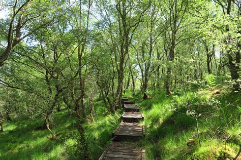 Shian Wood Swt Reserve Walk Walking In Lochaber