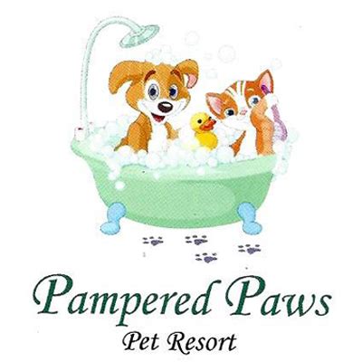 Lone star jellystone park, waller: Pampered Paws in Lubbock, TX 79416 | Citysearch