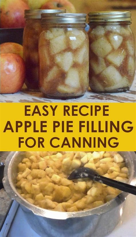 Once you're done, it just sits on the shelf, and literally all you have to do is open a jar and dump it into a pie shell when you're ready for it. Homemade Apple Pie Filling for Canning | Recipe | Canning ...