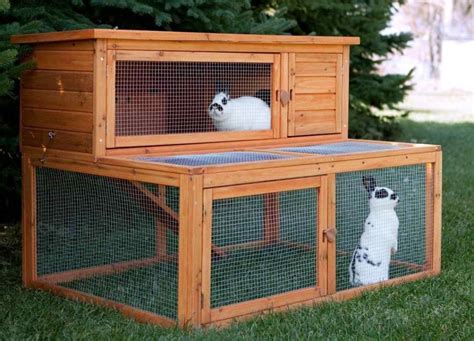 How To Make A Nesting Box For Rabbits