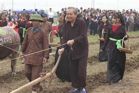 Phó thủ tướng trương hòa bình: Phó Thủ tướng Trương Hòa Bình xắn quần xuống đồng ở lễ ...