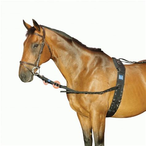 Nylon Side Reins Saddles And Style