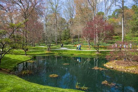 A Gorgeous Spring Landscape In The Garden With Ponds Surrounded By