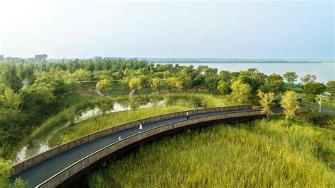 Gallery Of Baiyangdian Waterfront Park Tls Landscape Architecture 1