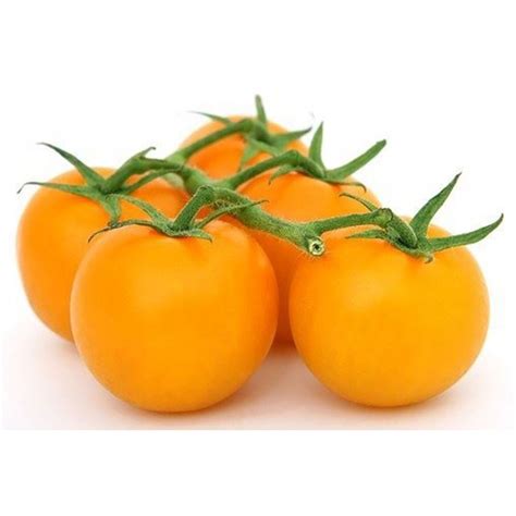 Anschließend in der kchenmaschine oder im mixer zu einer lockeren sauce verarbeiten. Gold Nugget Cherrytomaten Samen - Preis €1.85