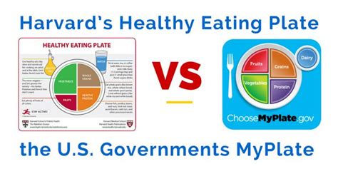 Hugedomains Com Healthy Eating Plate Healthy Eating Healthy