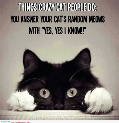 Crazy People Quotes And Sayings Crazy People Picture Quotes