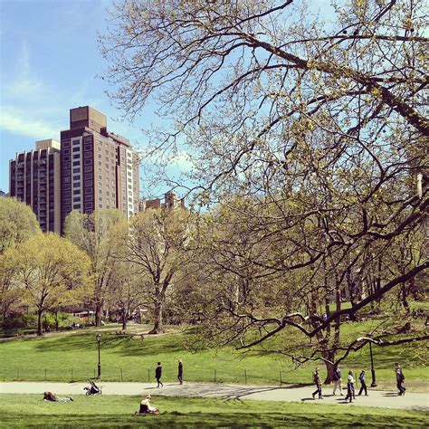 Online Crop Hd Wallpaper New York City Central Park Manhattan Urban Outdoors Scenic